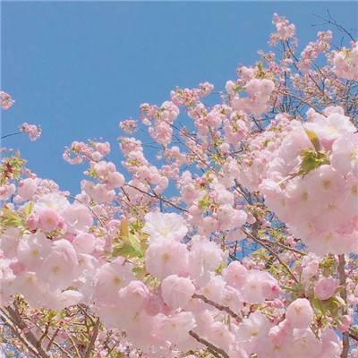 玄界大主宰游戏(暂未上线)v1.0.5 安卓版