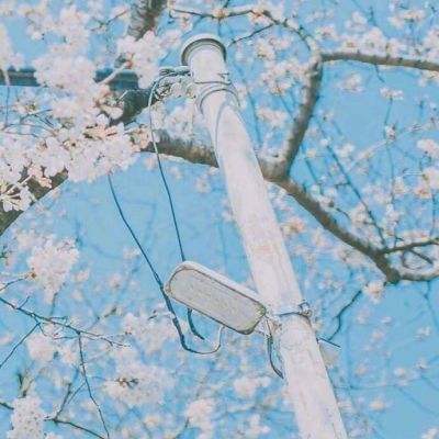 仙剑缘果盘游戏下载